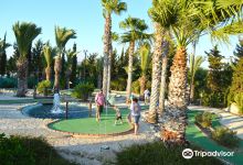 Island Cove Adventure Mini Golf景点图片