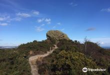Agglestone Rock景点图片