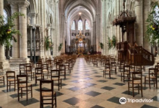 Cathedrale St-Etienne景点图片