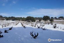 Bodegas Dominio de Cair景点图片