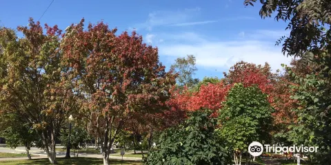 Island of Sakhalin Literary and Art Museum of the a. Chekhov's Book