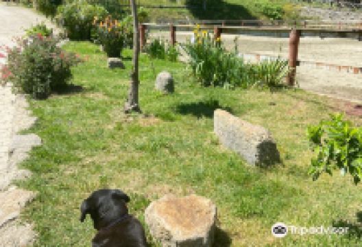 Centro Hipico de Valongo景点图片