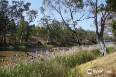 马蹄湾-科科尼诺县