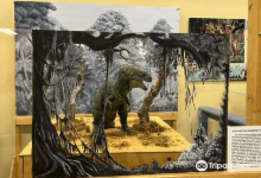 The Dinosaur Museum景点图片