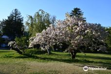 弘前公园-弘前市