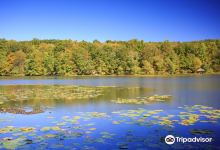 Teatown Lake Reservation景点图片