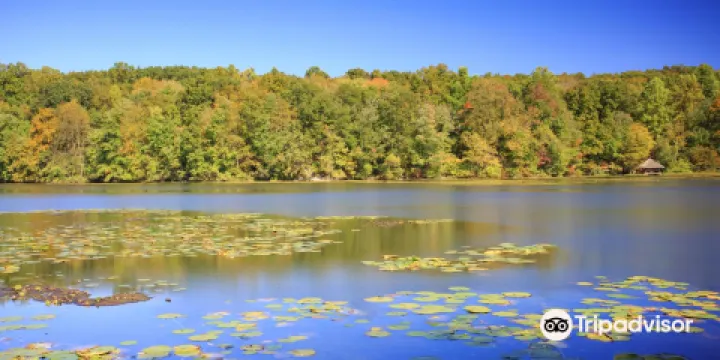 Teatown Lake Reservation