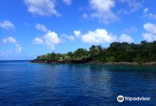 Anse Cochon Beach景点图片