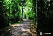 Parque Ambiental Chico Mendes景点图片