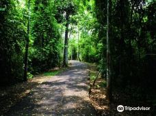 Parque Ambiental Chico Mendes-里奥布朗库