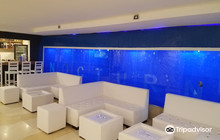 Cabaret Nocturno餐厅图片