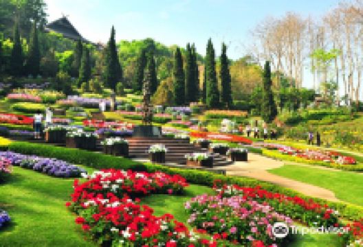 Doi Chang Mub Arboretum景点图片