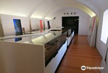 Museu Municipal de Arqueologia景点图片