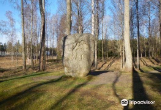 Frödingstenen景点图片