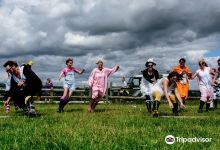 Farm Adventure Yorkshire景点图片