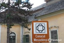 Castelul Wesselényi景点图片