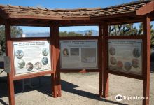 Arthur B. Ripley Desert Woodland State Park景点图片