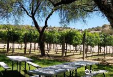 Javelina Leap Vineyard, Winery & Bistro景点图片