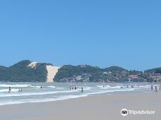 Morro do Careca beach-纳塔尔