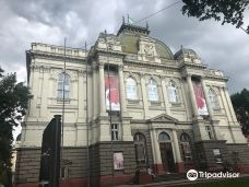 Lviv Sheptitsky National Museum-利沃夫