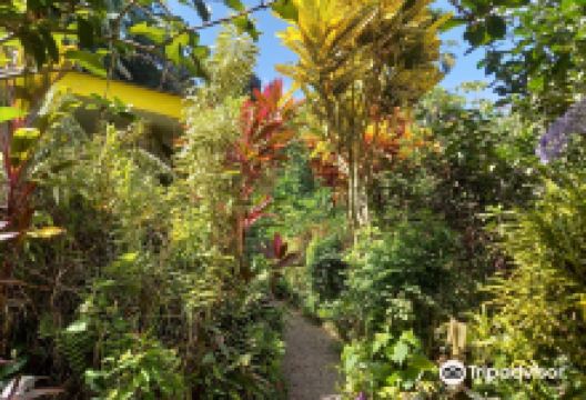 Kot Man-Ya Exotic Flower Garden景点图片