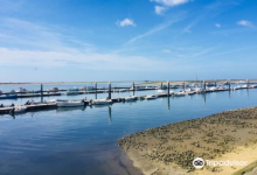 Ria Formosa Natural Park景点图片