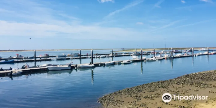 Ria Formosa Natural Park