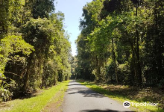 Tooloom National Park景点图片