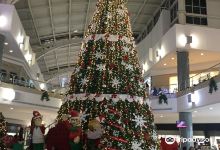 Galerias Valle Oriente购物图片