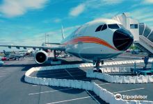 Ailes Anciennes Toulouse景点图片