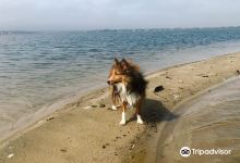Mecox Beach景点图片