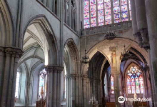 多尔大教堂景点图片