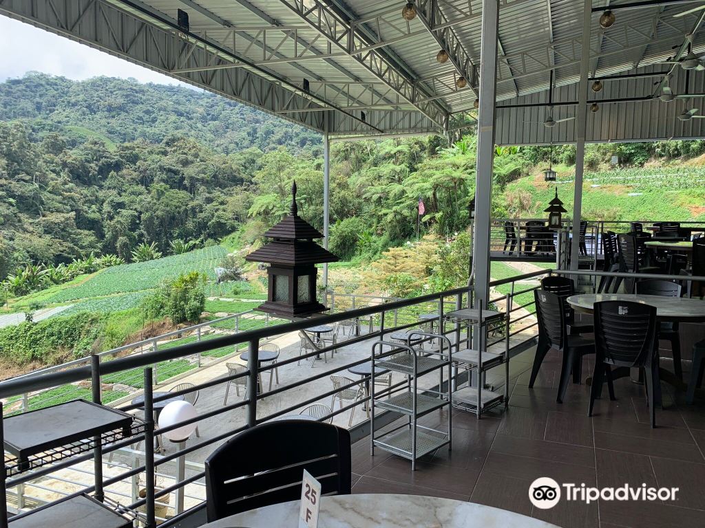 西洋菜谷餐厅图片