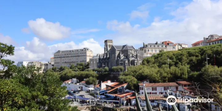 比亞里茨漁夫港