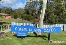 Gunns Plains Caves景点图片
