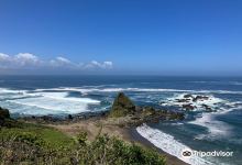 Reserva Punta Curinanco景点图片