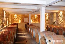 Domaine de Bois Mozé景点图片