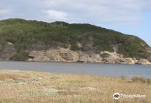 Groot Brakrivier Island景点图片