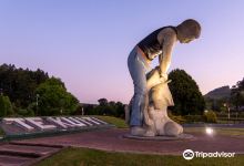Te Kuiti Shearer Statue景点图片