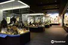 Natural History Museum of Meteora and Mushroom Museum-卡兰巴卡