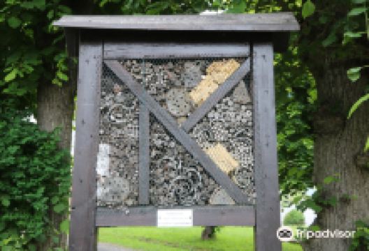 Bibelpflanzengarten景点图片