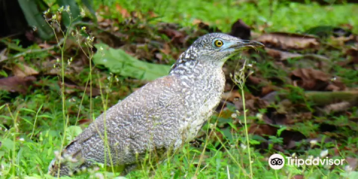 下坪自然教育園區