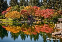 Nikka Yuko Japanese Garden景点图片