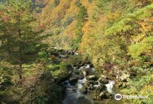 荒俣峡景点图片