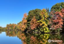 Franklin Lakes Nature Preserve景点图片