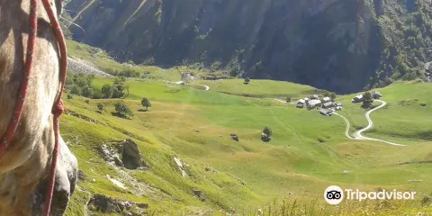 Chevrerie de Villarenger