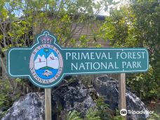 Primeval Forest National Park-拿骚