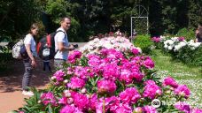 MGU Botanic Garden-莫斯科