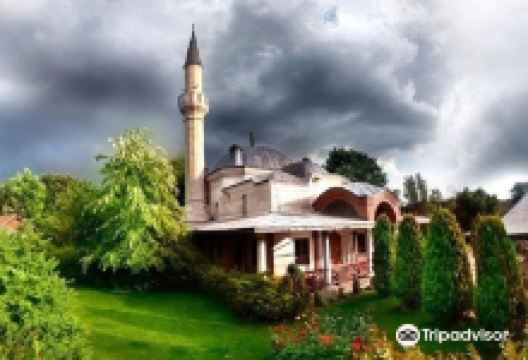 Dar-ul Hadis Camii景点图片