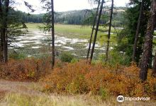Coeur D'Alene National Forest景点图片